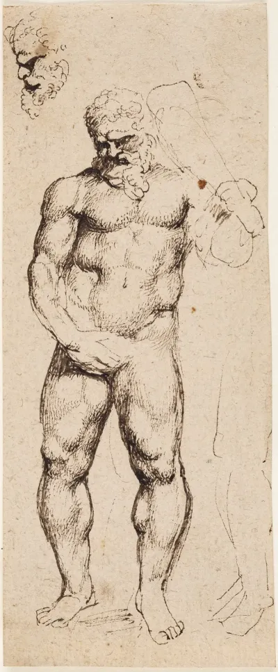 Hercules 6