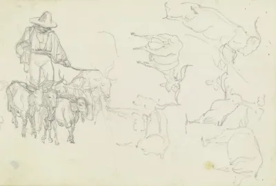 Herd Of Goats With Herder