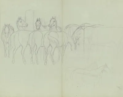 Herd Of Horses Grazing