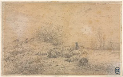 Herd Of Pigs