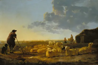 Herd Of Sheep At Pasture