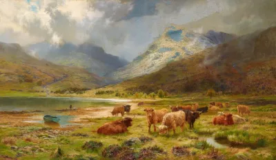 Herde In Den Highlands