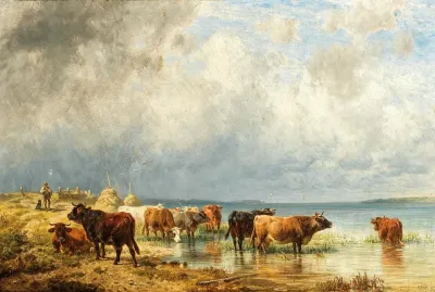 Herde Mit Schafen Am See