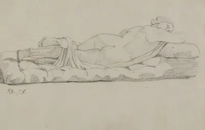 Hermaphrodite