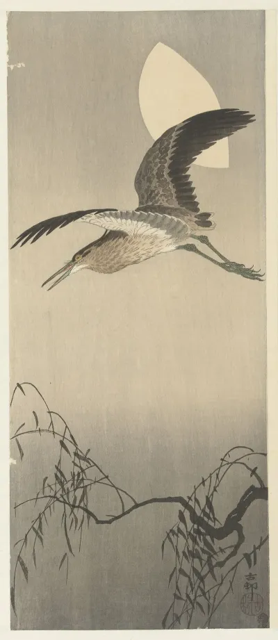 Heron And Moon