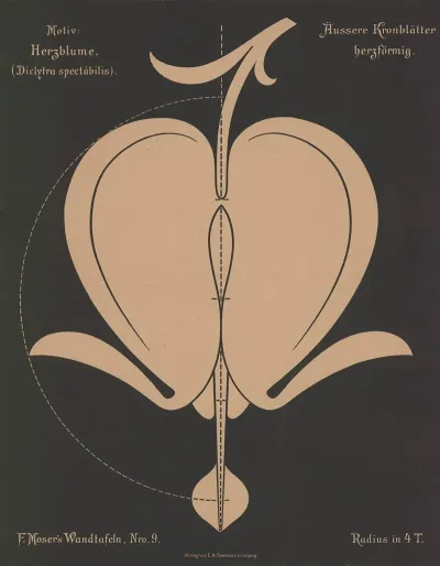 Herzblume Diclytra Spectabilis