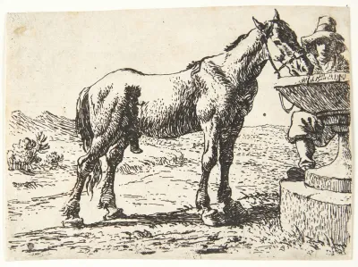 Hest Ved En Brond