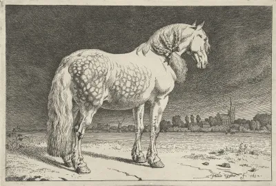 Het Friese Paard Paarden