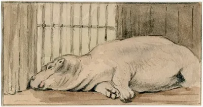 Het Nijlpaard In De Engelse Dierentuin 3
