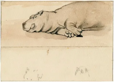 Het Nijlpaard In De Engelse Dierentuin 5