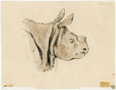 Het Nijlpaard In De Engelse Dierentuin 6