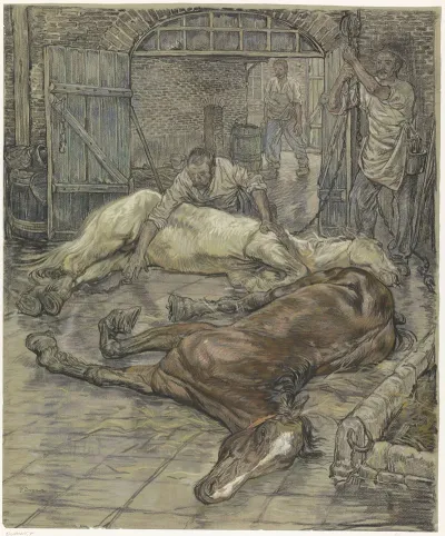 Het Slachten Van Twee Paarden