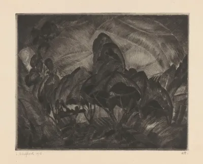 Heuvellandschap Met Bomen Les Arbres