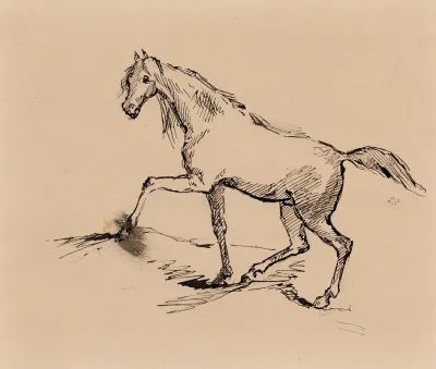 Hevonen Luonnos