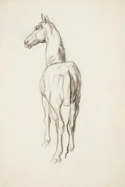 Hevosharjoitelma