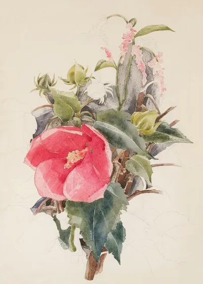 Hibiscus 2