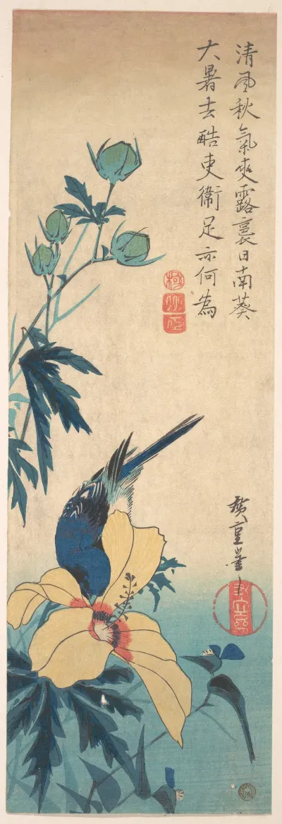 Hibiscus And Bluebird