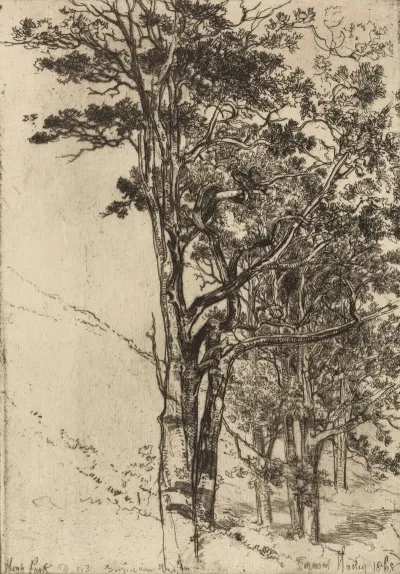 High Park