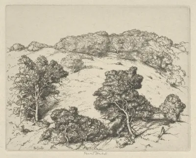 Hill Of Dreams