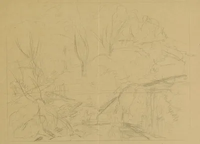 Hill Overgrown With Trees And Shrubs