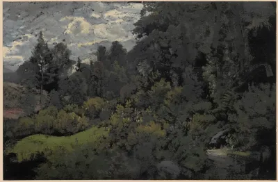 Hill Overgrown With Trees