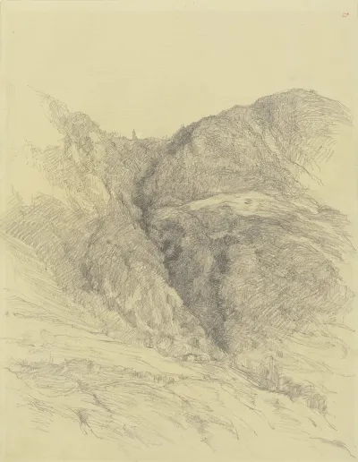 Hillside 7