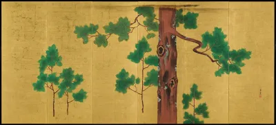 Hinoki Cypress Tree