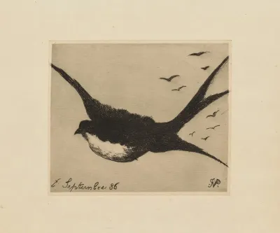 Hirondelle