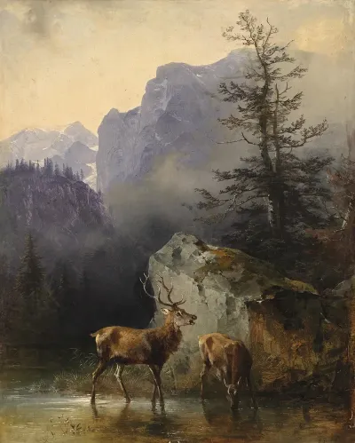 Hirsch Und Tier An Der Tranke