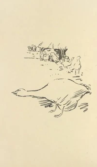 Histoires Naturelles Pl 08