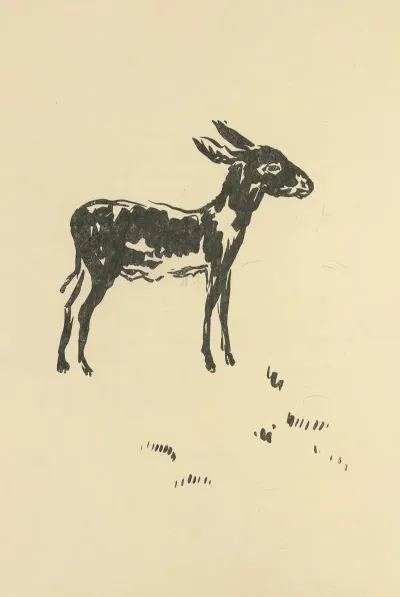 Histoires Naturelles Pl 22