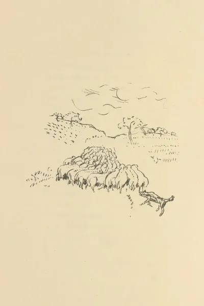 Histoires Naturelles Pl 24