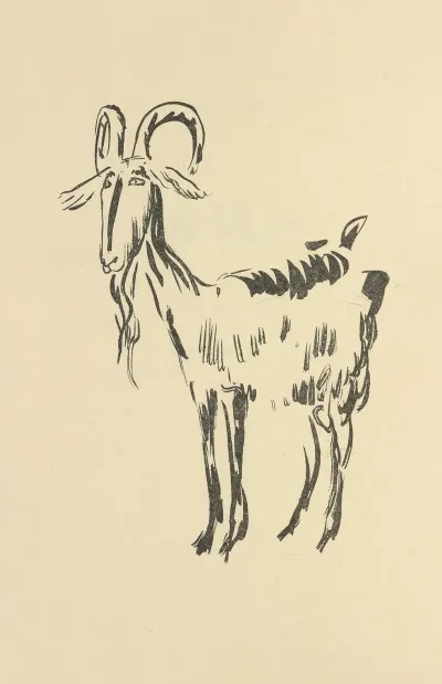 Histoires Naturelles Pl 25