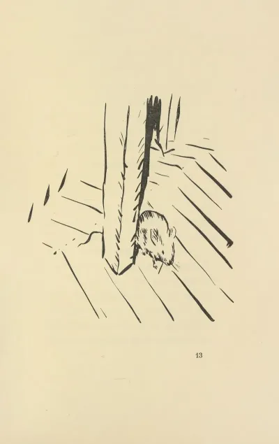 Histoires Naturelles Pl 27