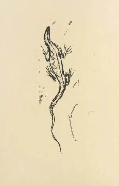 Histoires Naturelles Pl 28