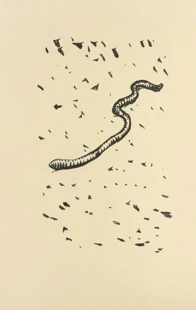 Histoires Naturelles Pl 29
