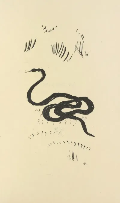 Histoires Naturelles Pl 30