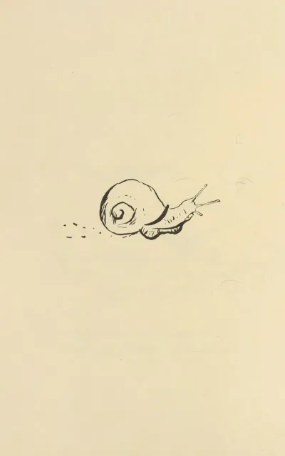 Histoires Naturelles Pl 32