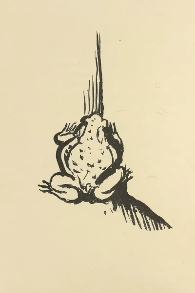 Histoires Naturelles Pl 34