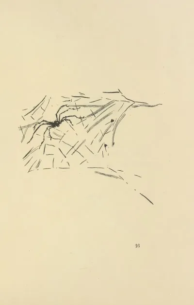 Histoires Naturelles Pl 35