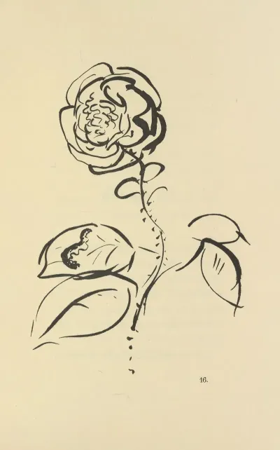 Histoires Naturelles Pl 36