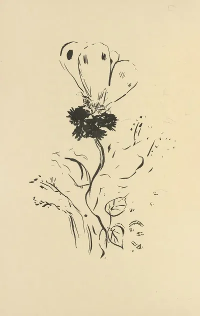 Histoires Naturelles Pl 37