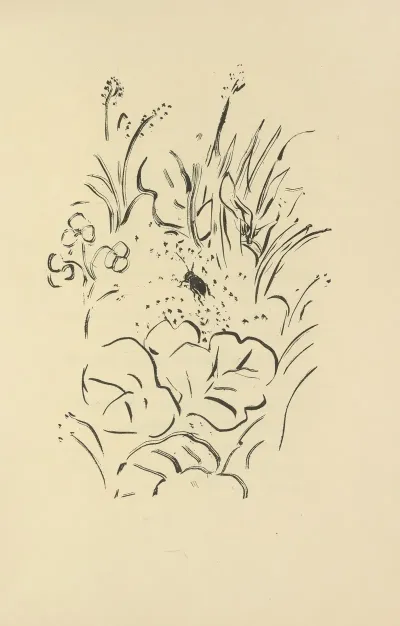 Histoires Naturelles Pl 40