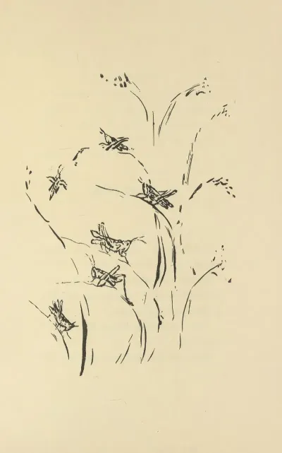 Histoires Naturelles Pl 41