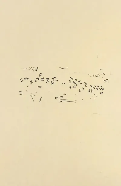 Histoires Naturelles Pl 42