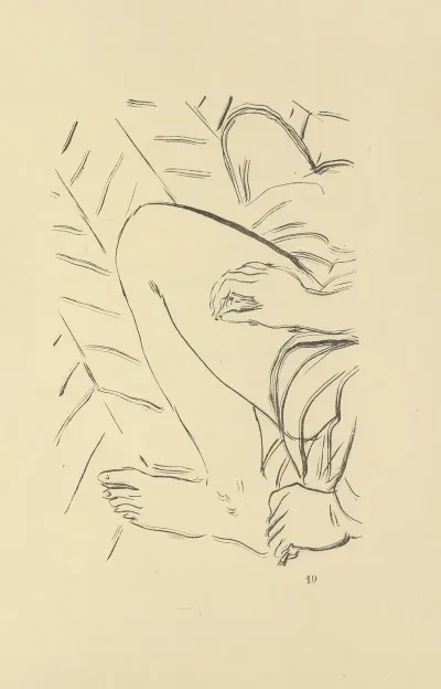 Histoires Naturelles Pl 43