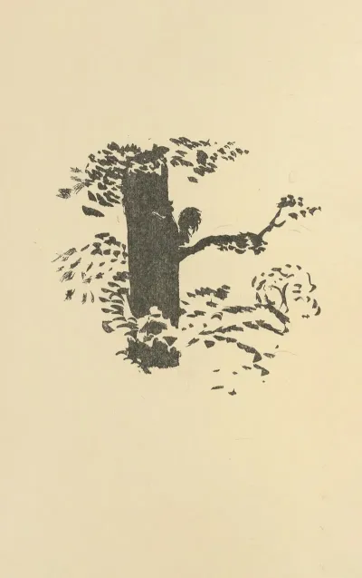 Histoires Naturelles Pl 44