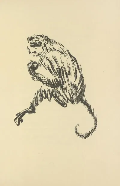 Histoires Naturelles Pl 45