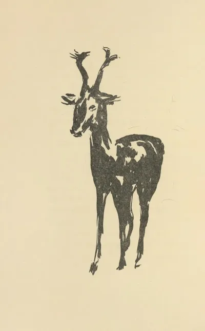 Histoires Naturelles Pl 46