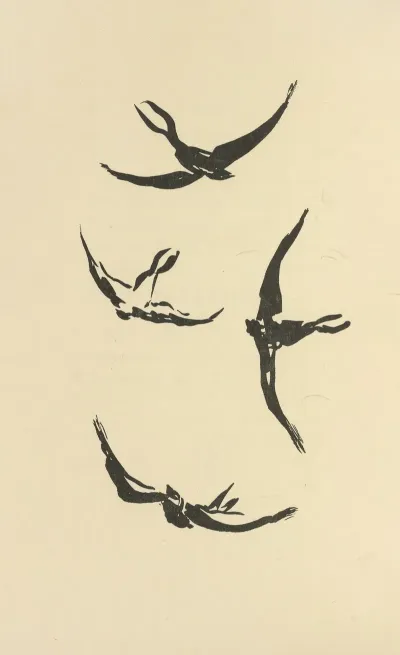 Histoires Naturelles Pl 52